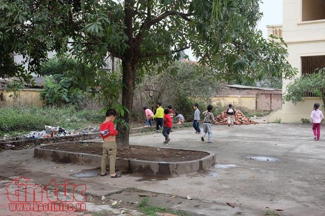 Trường chuẩn quốc gia, học sinh đi vệ sinh ở… đống rác ảnh 8